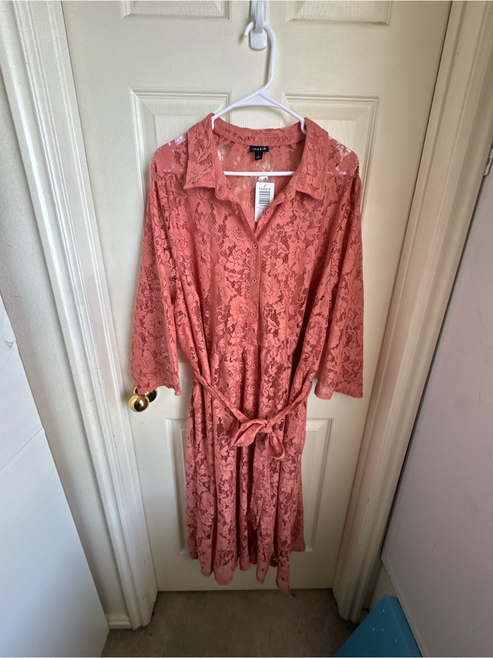 Torrid Lace Dress